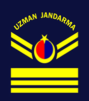 Uzman Jandarma VI Kademeli Çavuş
